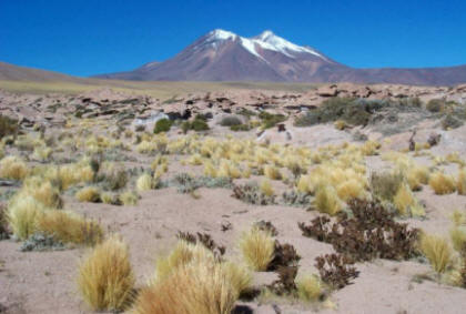 Atacama - Chili