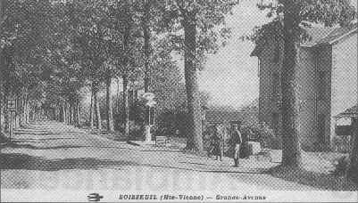 Boisseuil - La Grande Avenue