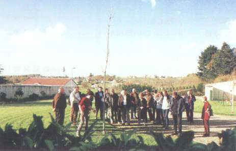 Dmonstration de taille douce des arbres